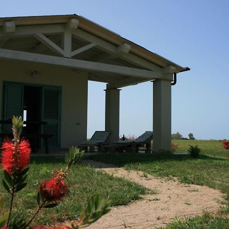 Agriturismo Podere 678 Grosseto Zewnętrze zdjęcie