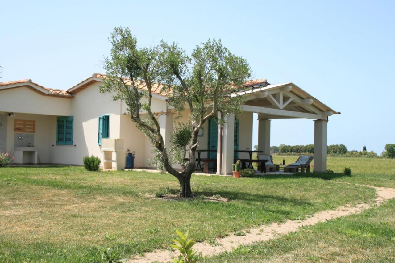 Agriturismo Podere 678 Grosseto Zewnętrze zdjęcie