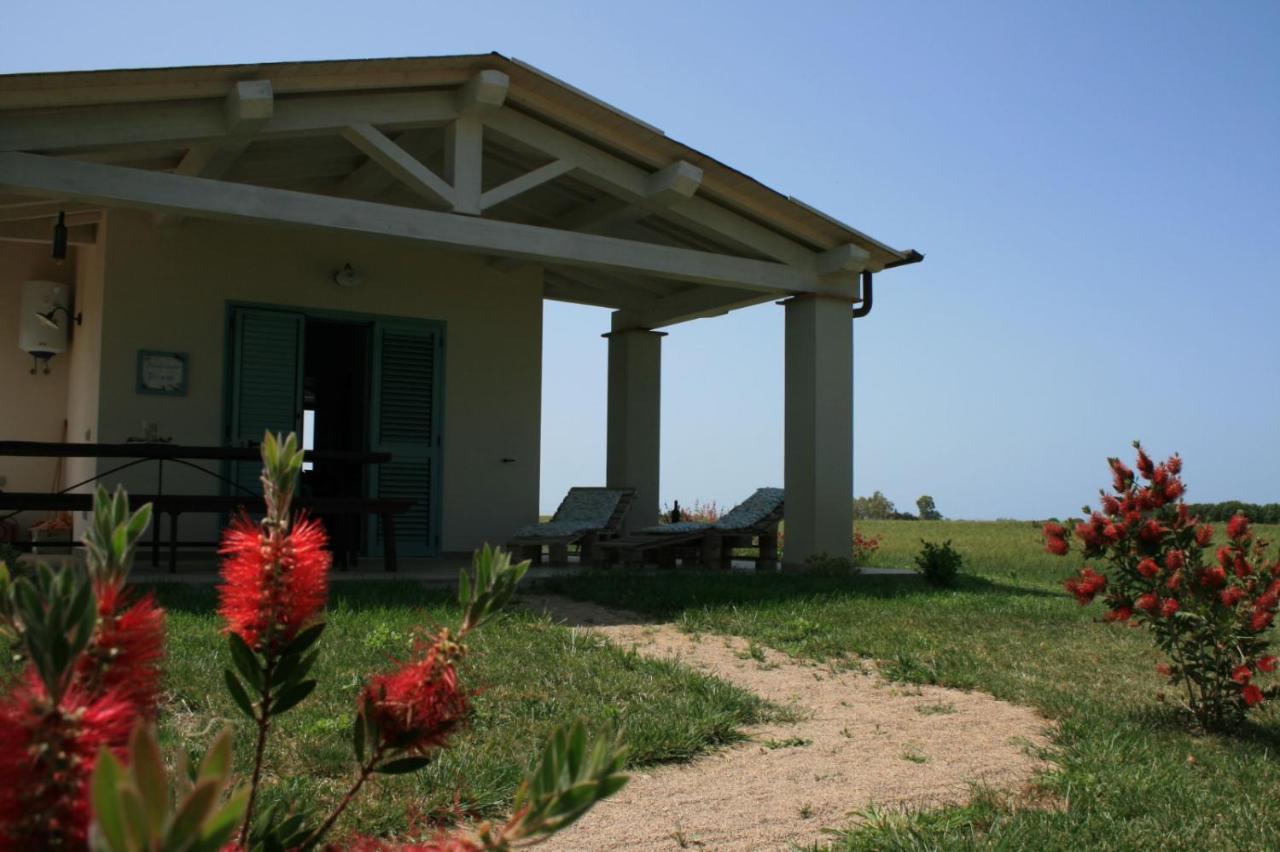 Agriturismo Podere 678 Grosseto Zewnętrze zdjęcie